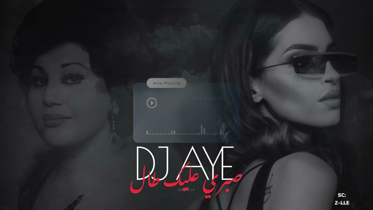 صبري عليك طال ريمكس BIA BARGARDIM X | DJ AYE