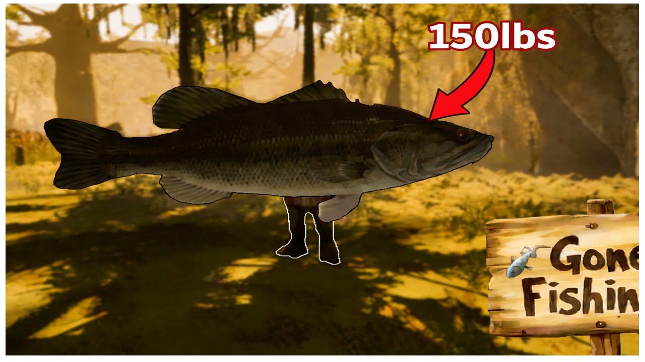 Gone Fishing Led Us Down a Dark Gambling Path