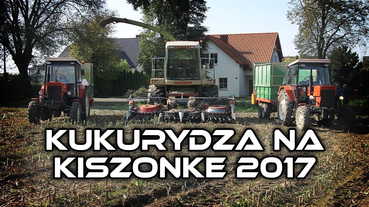 Kukurydza na kiszonke 2017 | 3x Mtz, Claas