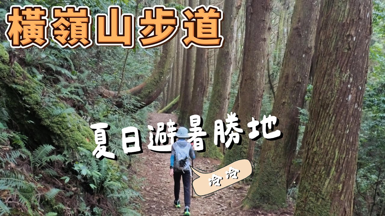 橫嶺山步道 - 老少咸宜夏日避暑勝地 台中的特富野