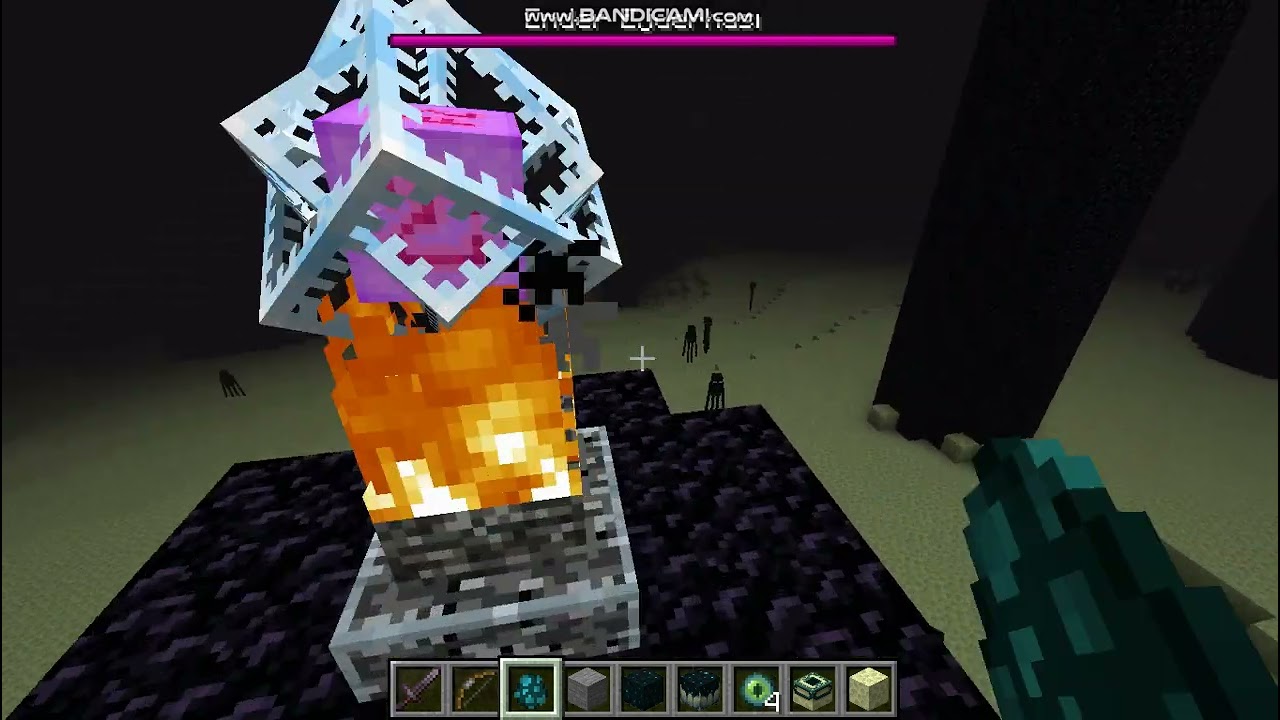 ender dragon vs warden bolum 1