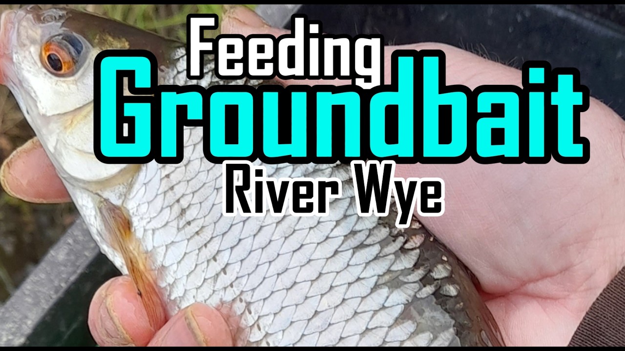 How to Feed Groundbait In Fast Flowing Water