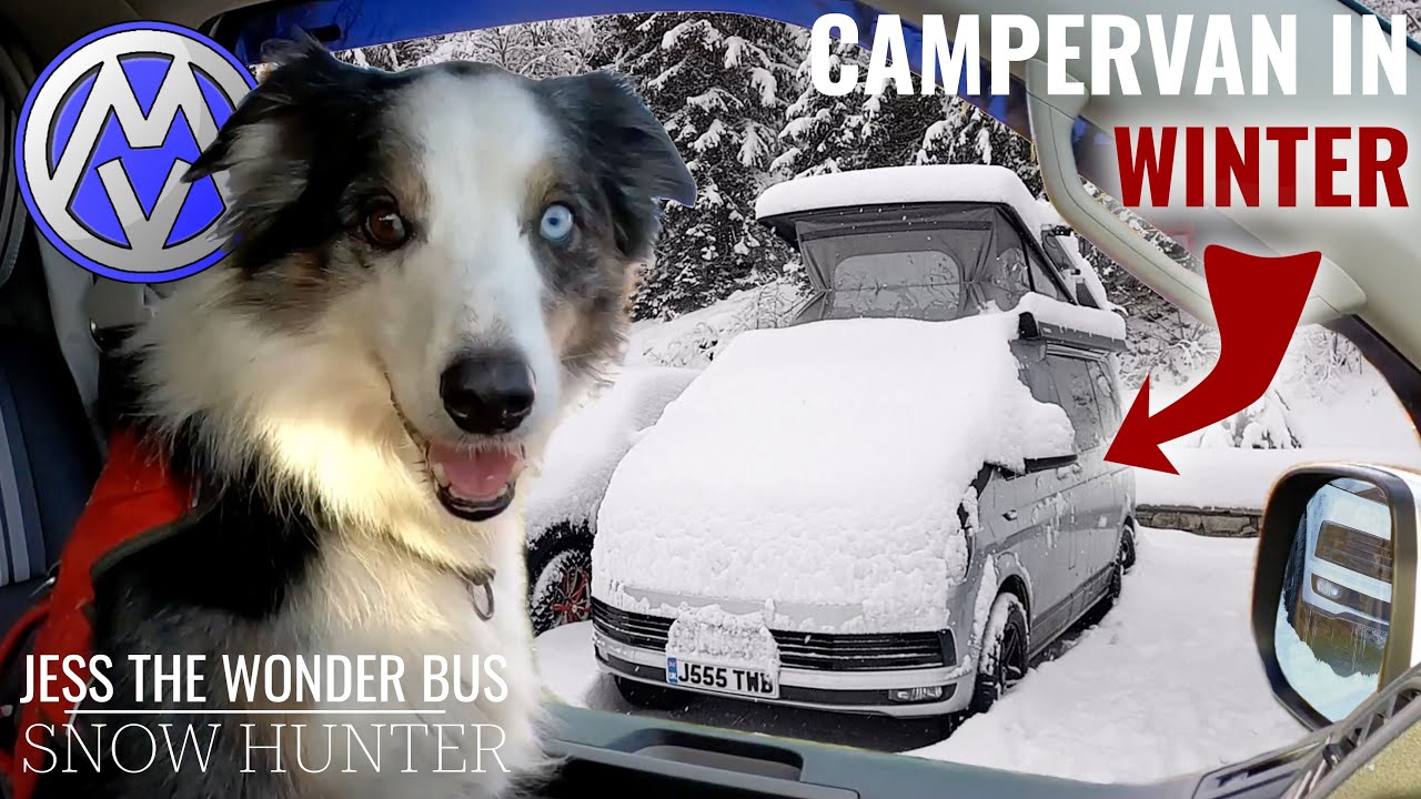 Snow Hunter: Winter Campervan Adventures | Roadtrip from UK to The Alps in "Jess" the VW T6 with Dog