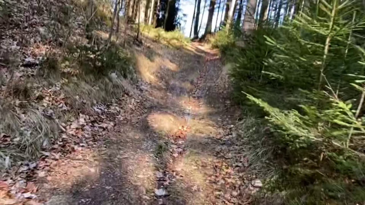 Der Weg nach Oben-Reither Kogel Gipfelkreuz