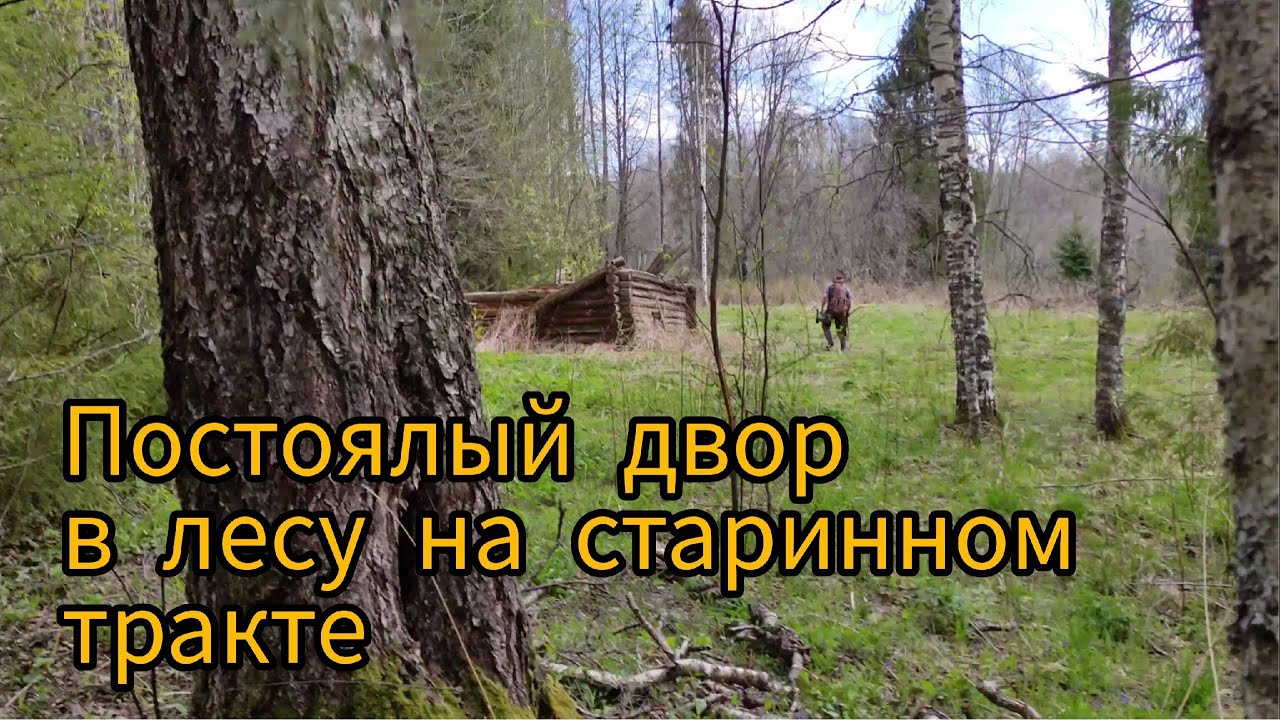 Постоялый двор в лесу на старинном тракте.