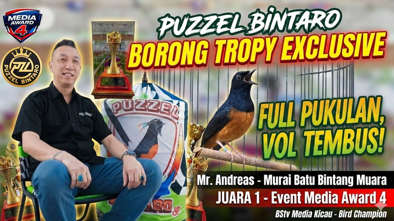 PUZZEL BINTARO BORONG TROPY EXCLUSIVE ‼️ MB BINTANG MUARA ( BM ) MATERI MEWAH VOL TEMBUS