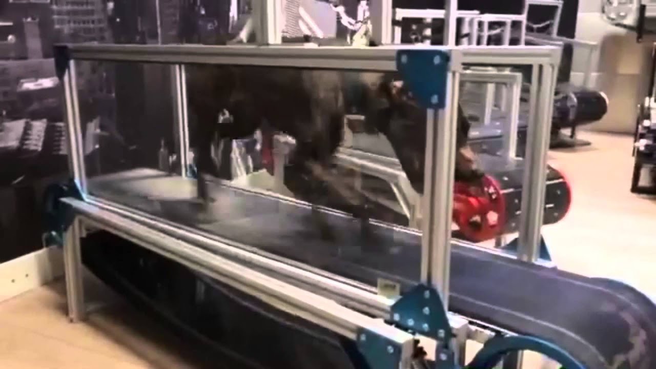 HF Mills testing the new and faster belt !!!!