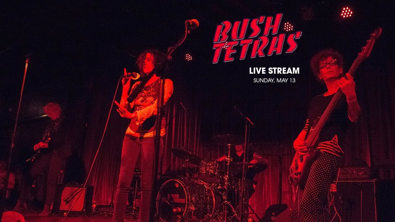 Bush Tetras, live on PressureDrop.tv