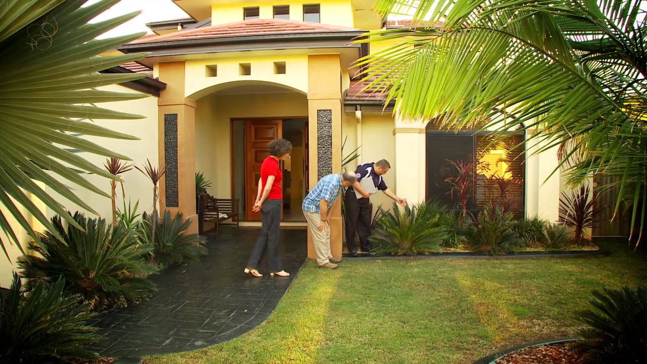 Your ultimate protection against termites with the ultimate termite warranty