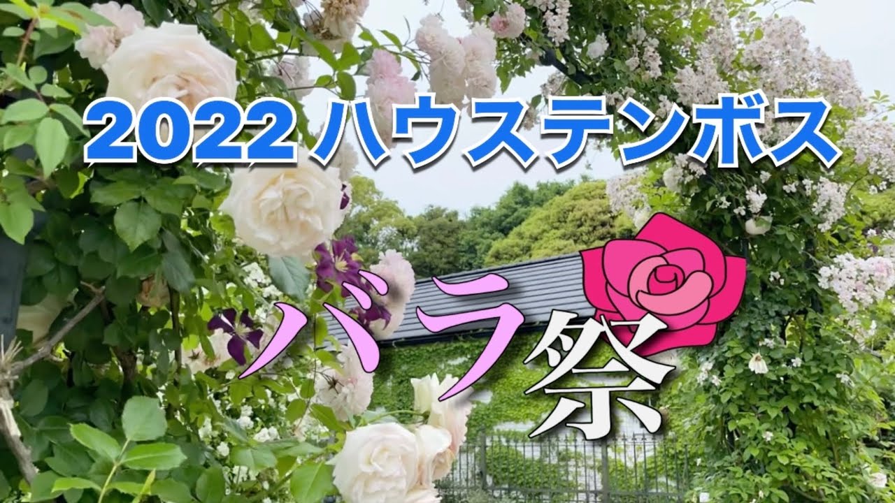 『2022ハウステンボス  バラ祭』  iPhone で4K撮影 編集