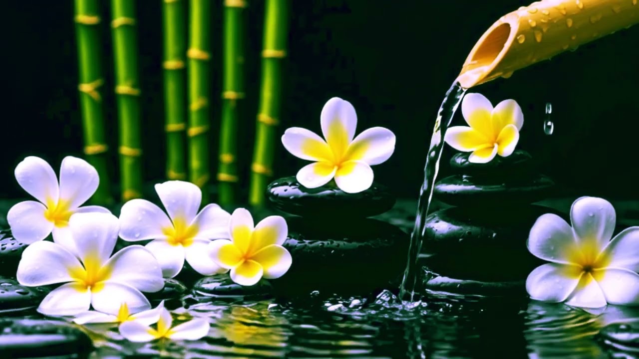 Sleep Meditation Music 💤 Calm Music for Stress Relief & Relax | Deep Sleep, Anxiety Relief,