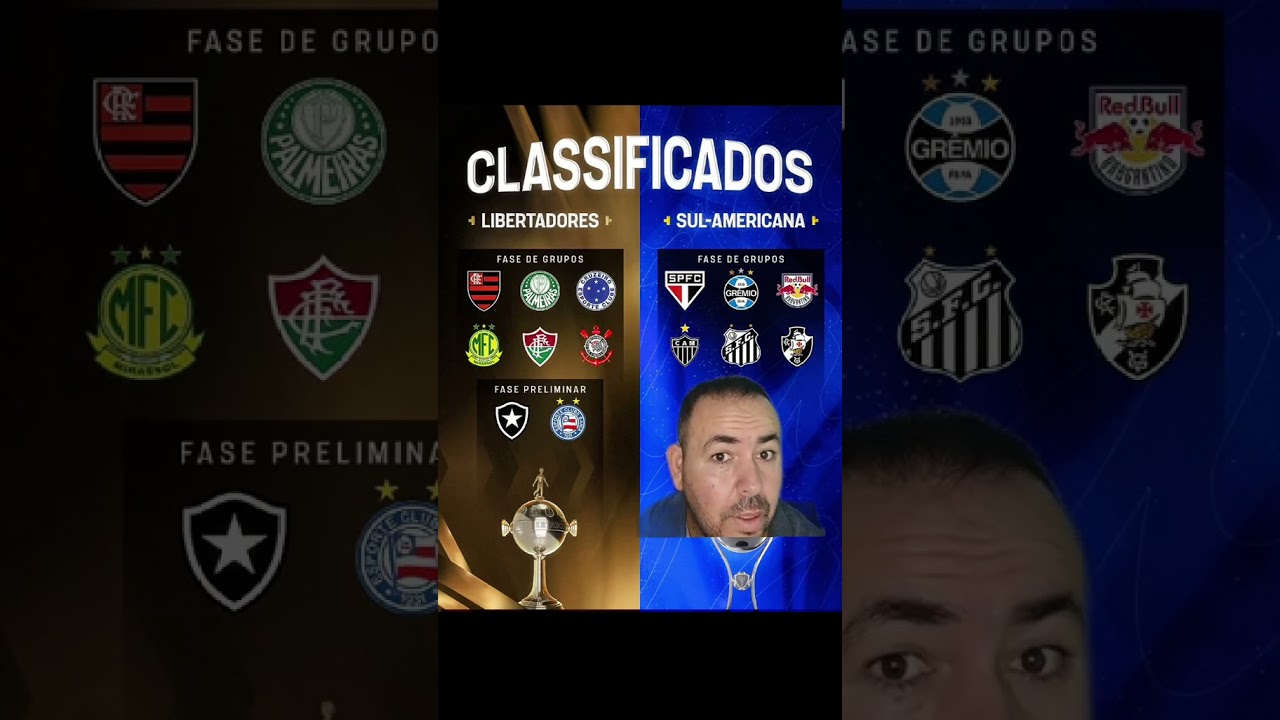 os classificados para libertadores e sul-americana 