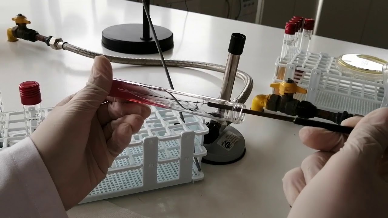 Batería de Enterobacterias