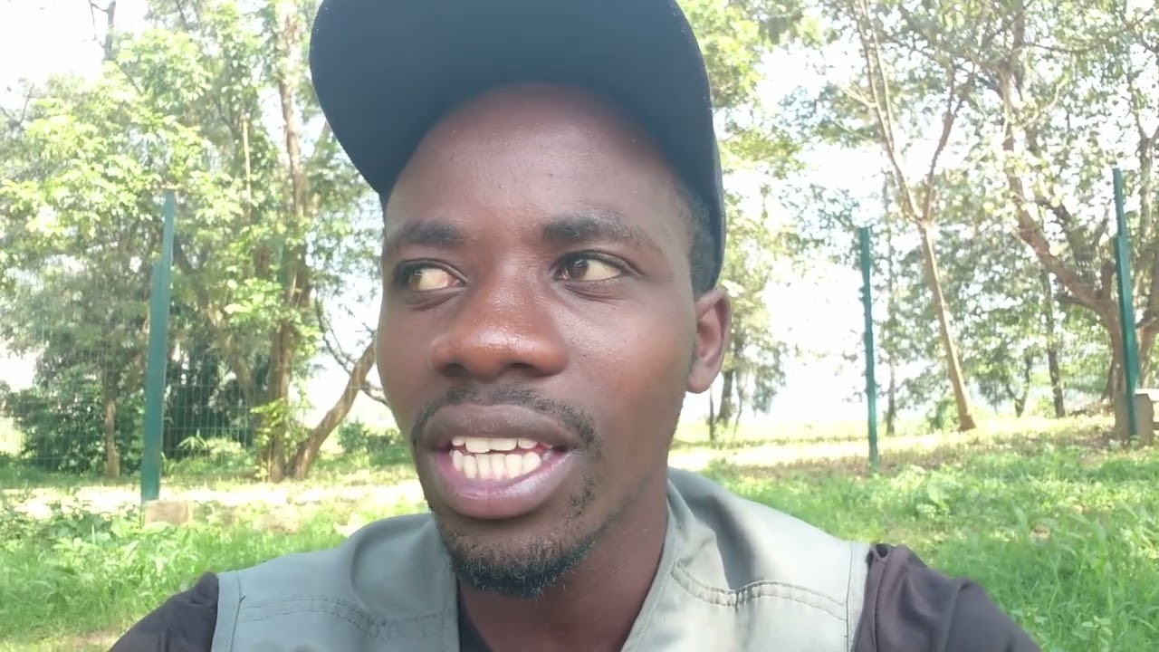 inama by shutter spark