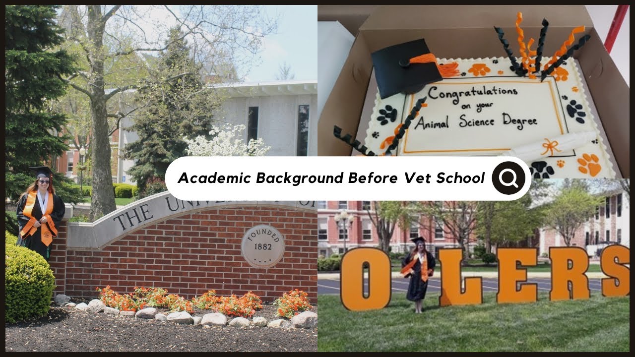 Diving Deep Into My Academic Background Before Vet School - Advice for Pre-Vet Students