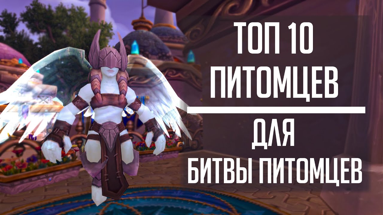 ТОП 10 ПИТОМЦЕВ для Битвы питомцев! Гайд по получению всех топ петов в World of Warcraft!