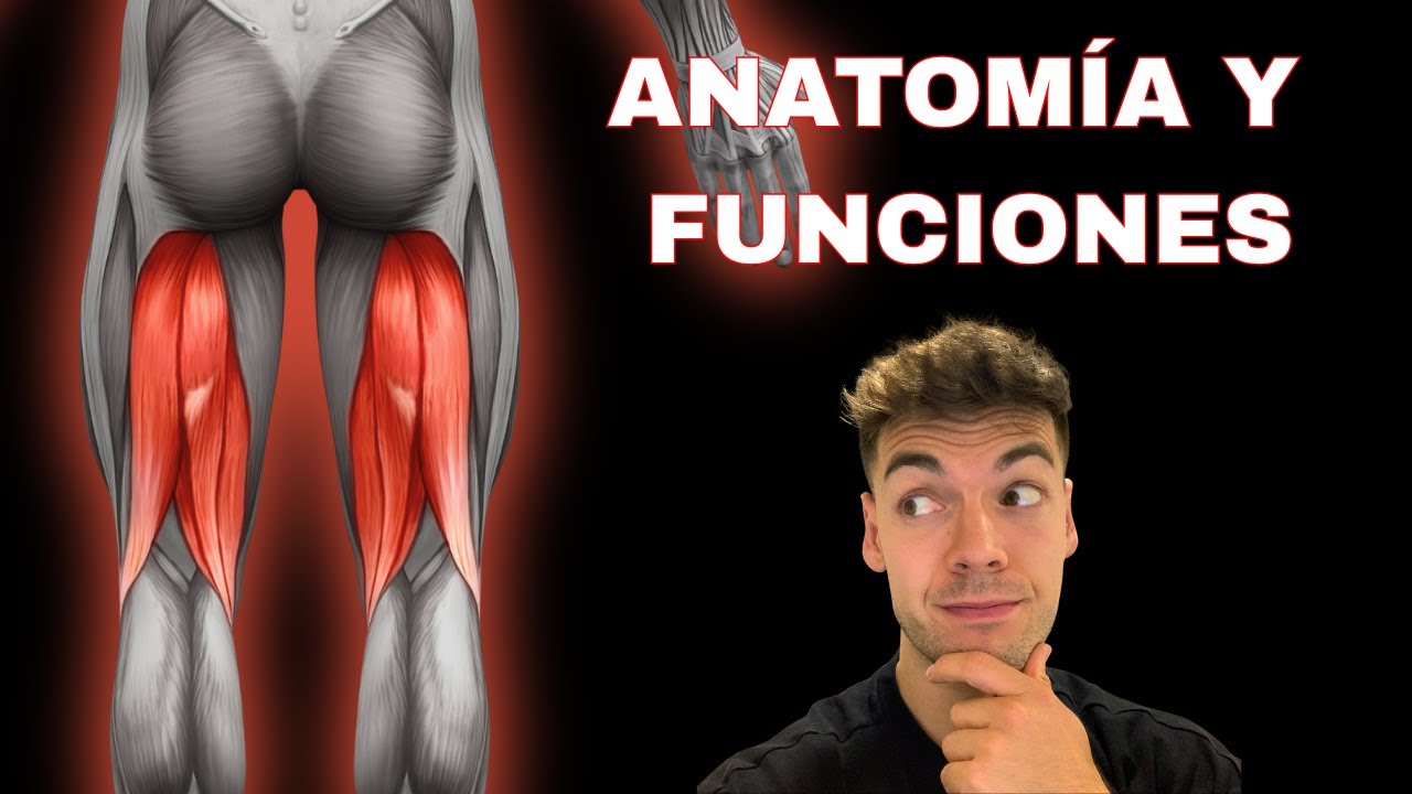 ISQUIOSURALES 🔎: Anatom&iacute;a y FUNCIONES principales que debes CONOCER