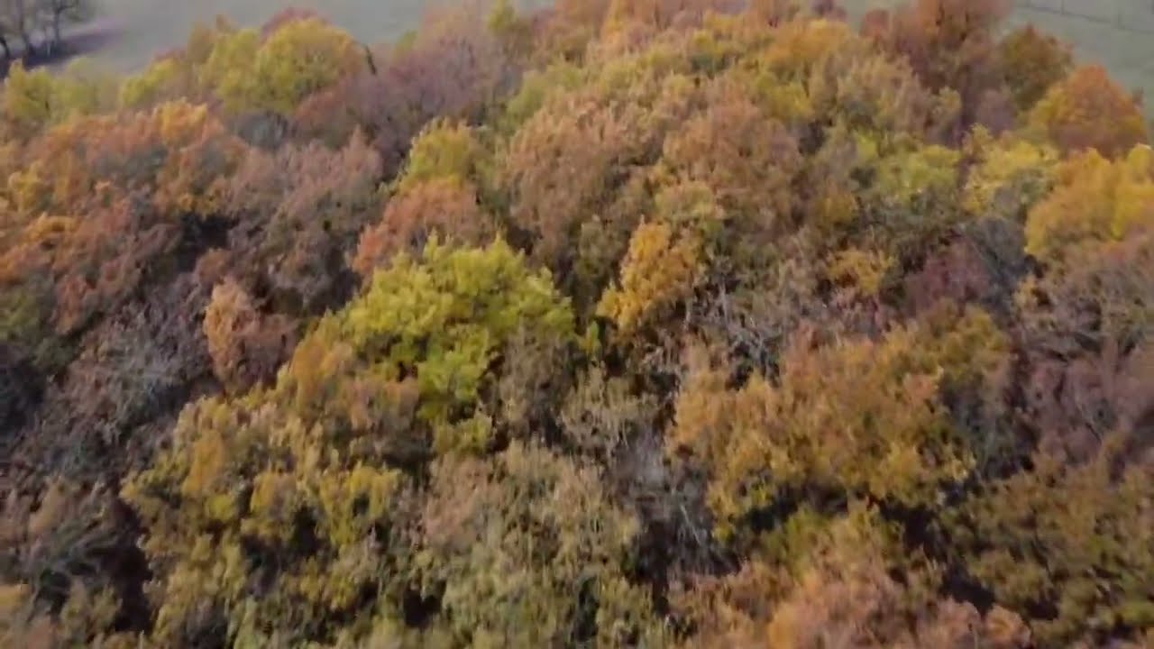 Magnifique propriété dans un cadre idyllique