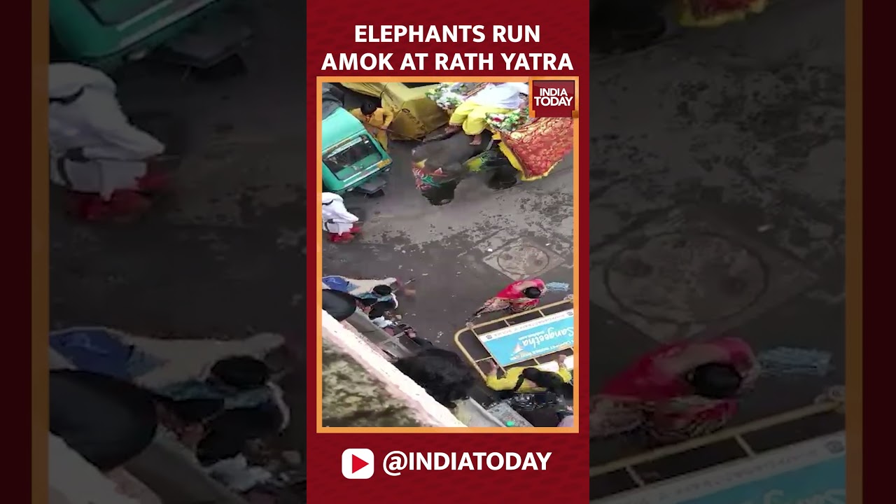 Ahmedabad Rath Yatra Turns Chaotic as Elephants Trample Devotees | Injuries Reported #rathyatra