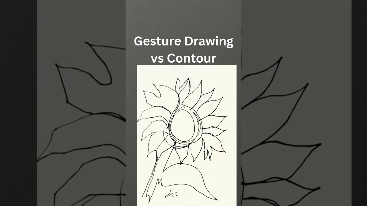 What's the Difference Between Gesture Drawing and Contour Drawing - Draw Every Day with Jacki Kellum