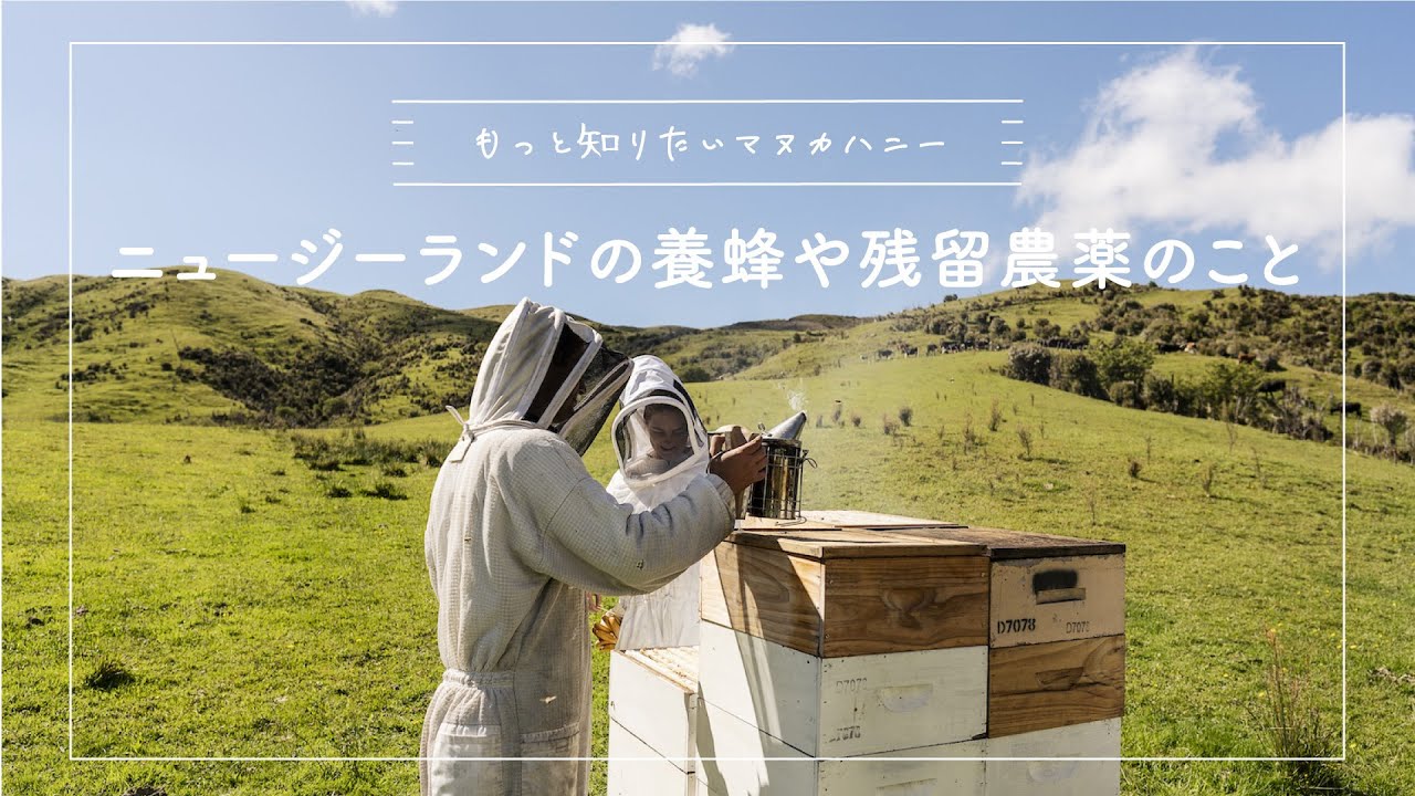 安心・安全なはちみつとは？「ニュージーランドの素晴らしい養蜂や残留農薬のこと」｜マヌカハニー専門店 ハニーマザーがマヌカハニーについてご紹介♪