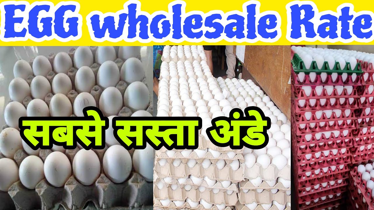 Egg wholesale price 
