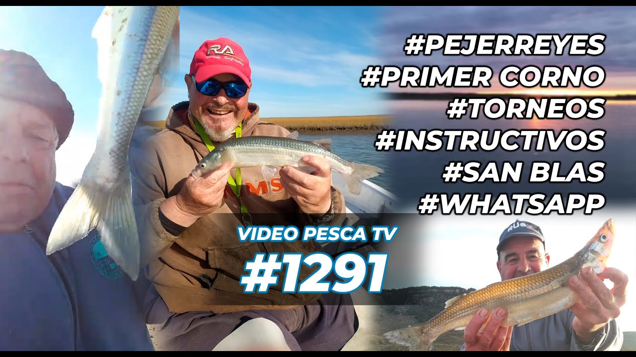 Pejes, el primer corno en Necochea, Pescadilla en Pinamar, bloques instructivos y más  Programa 1291
