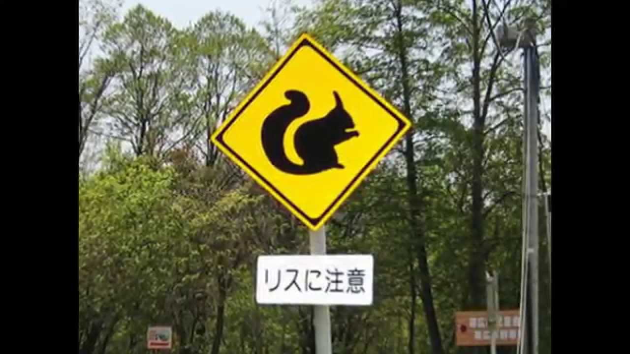 動物注意！珍標識まとめ