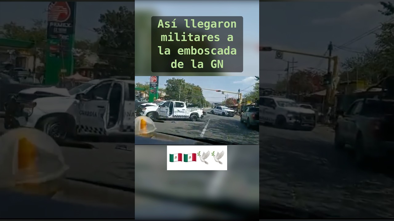 Asi fue como militares mexicanos auxiliaron a GN 🇲🇽 #viral #military #militar #mexico #shorts