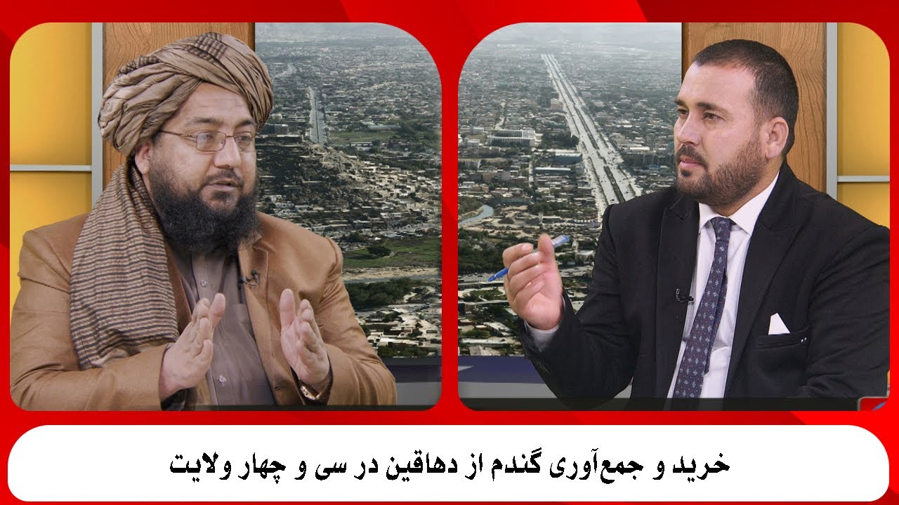 MORNING MAGAZINE | خرید و جمع‌آوری گندم از دهاقین در سی و چهار ولایت