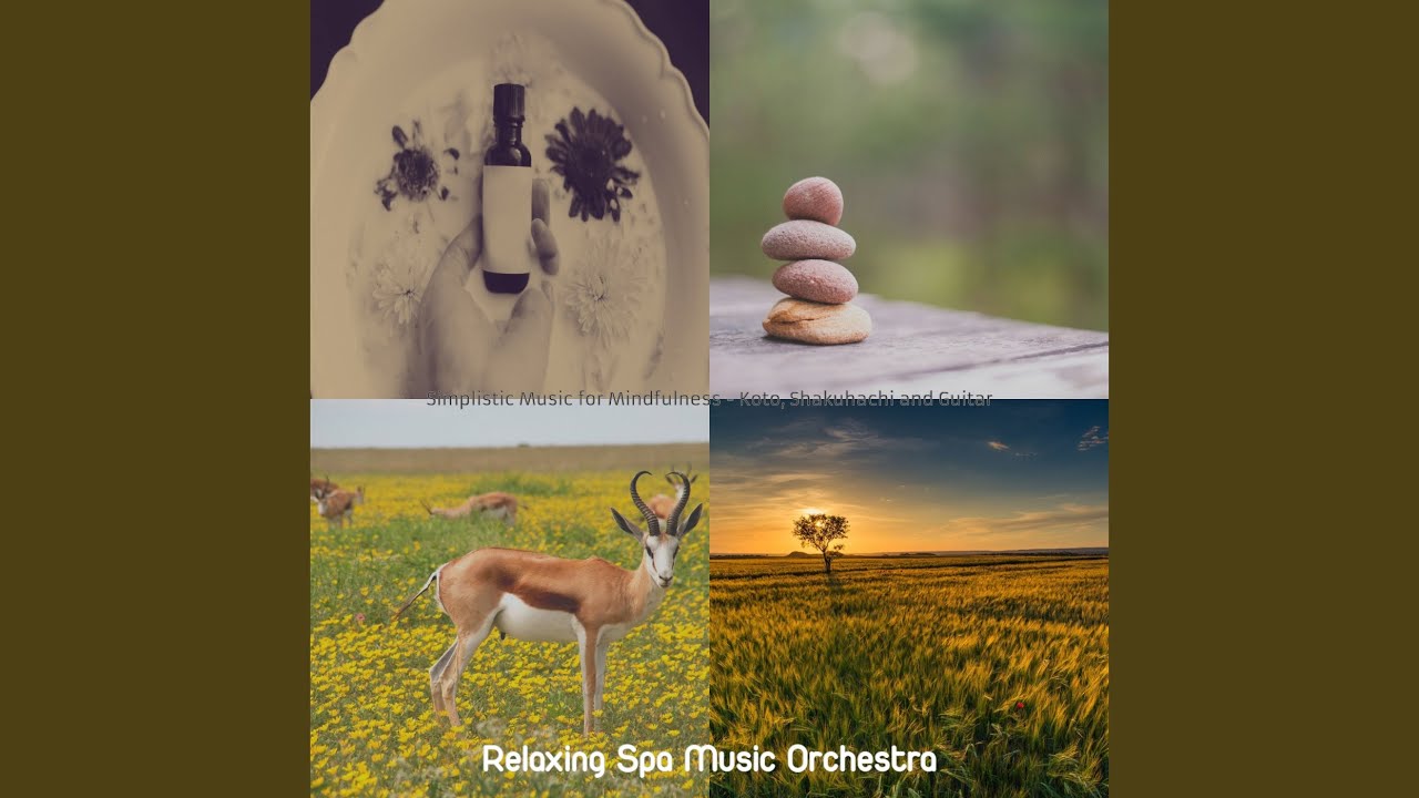 Happy Ambience for Reduing Anxiety