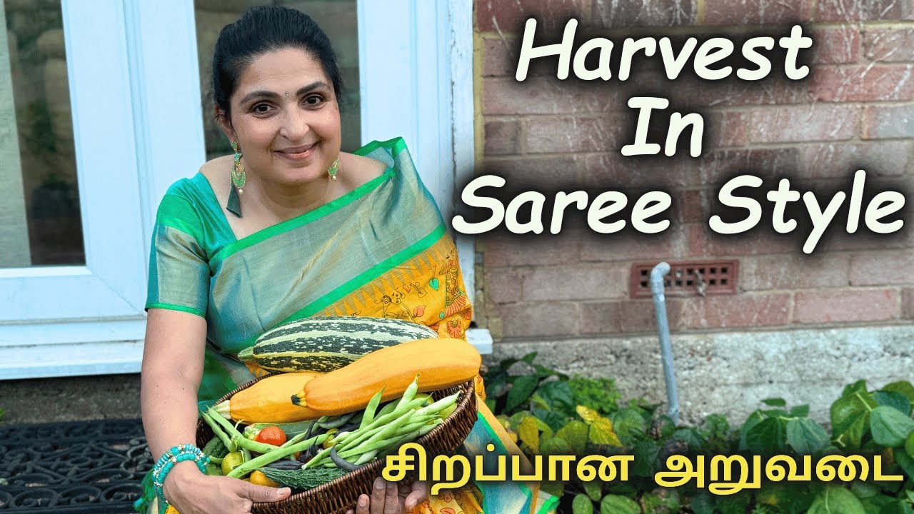 நம்ம வீட்டு தோட்டம் 🍀 சிறப்பான அறுவடை (Special Harvest in Our Home Garden)