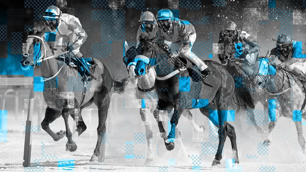 WhiteTurfStMoritz Live Stream