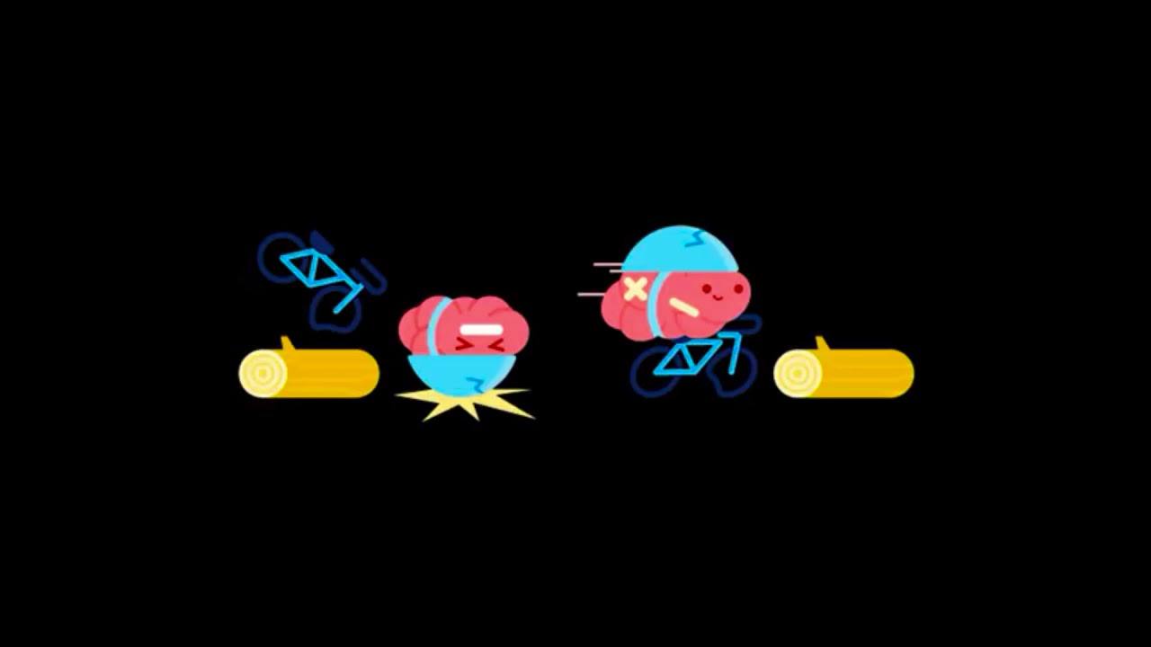 Az igazs&aacute;g az agyadr&oacute;l (&aacute;ltal&aacute;nos iskol&aacute;soknak) | Fejlőd&eacute;sf&oacute;kusz&uacute; szeml&eacute;let | Khan Academy magyar
