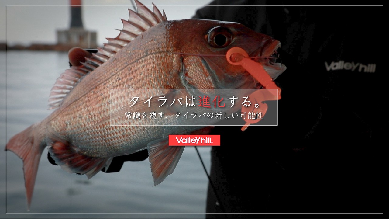 【ワームタイラバ】ワーム球シリーズを使った新しい鯛ラバを解説