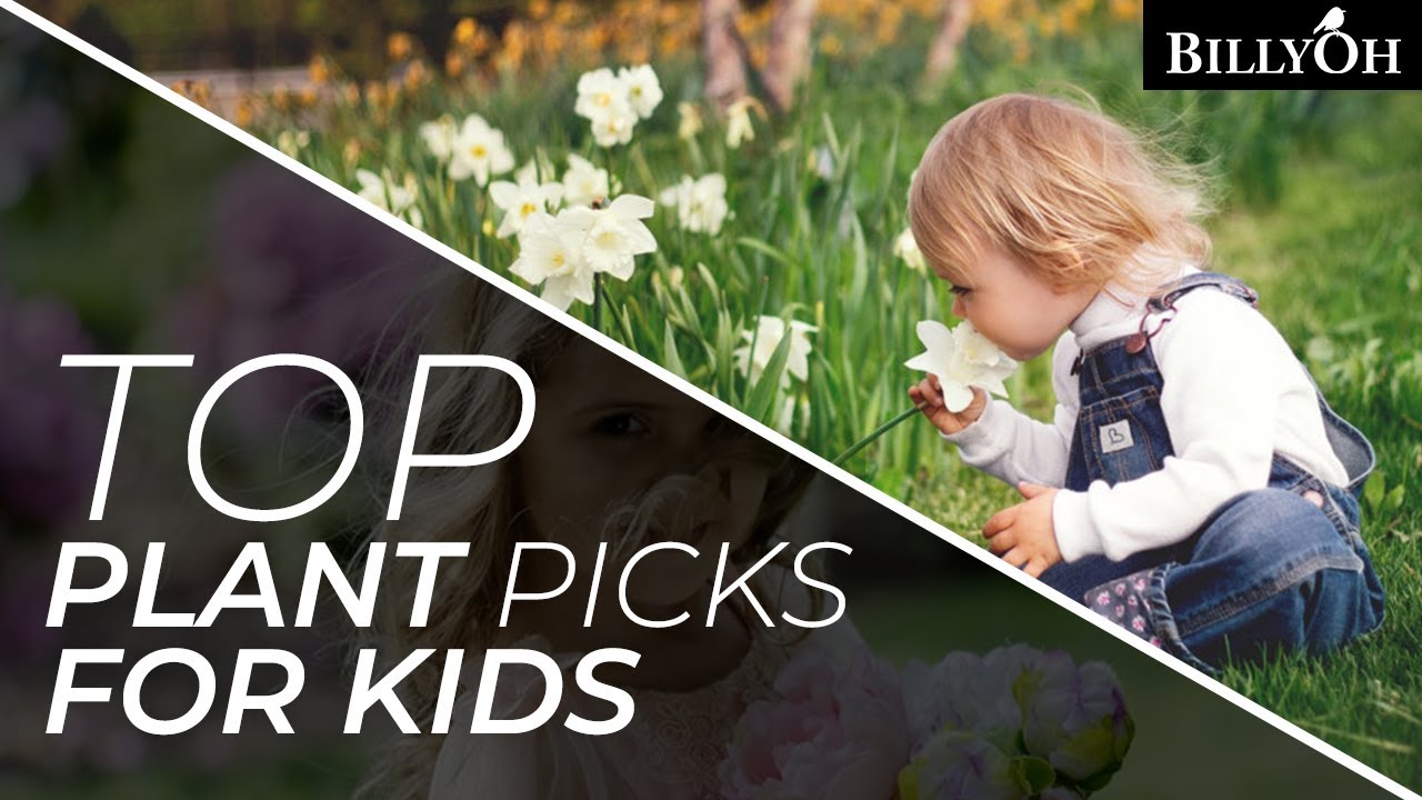 7 Top Plant Picks For Kids Who Want To Start Gardening - Plant Choices For Beginners And Children