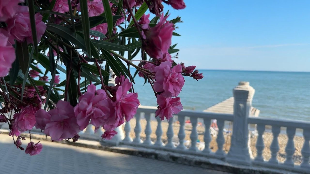 Пансионат 