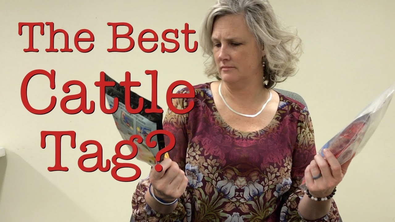 Choosing the Best Ear Tags for Cattle and Sheep | Jeffers Livestock