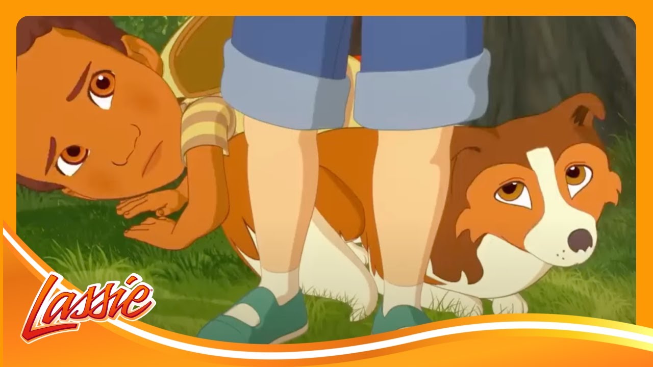 🐶 Adopt-a-Puppy Day 💖| The New Adventures of Lassie | Cartoons for Kids