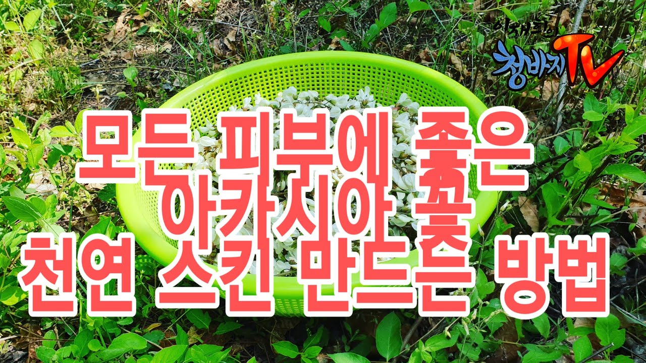 아카시아 천연 스킨 만드는 방법,아카시아 효능,아카시아 꽃 차 만들기,아카시아 효소 만들기.이재희의 청바지 TV