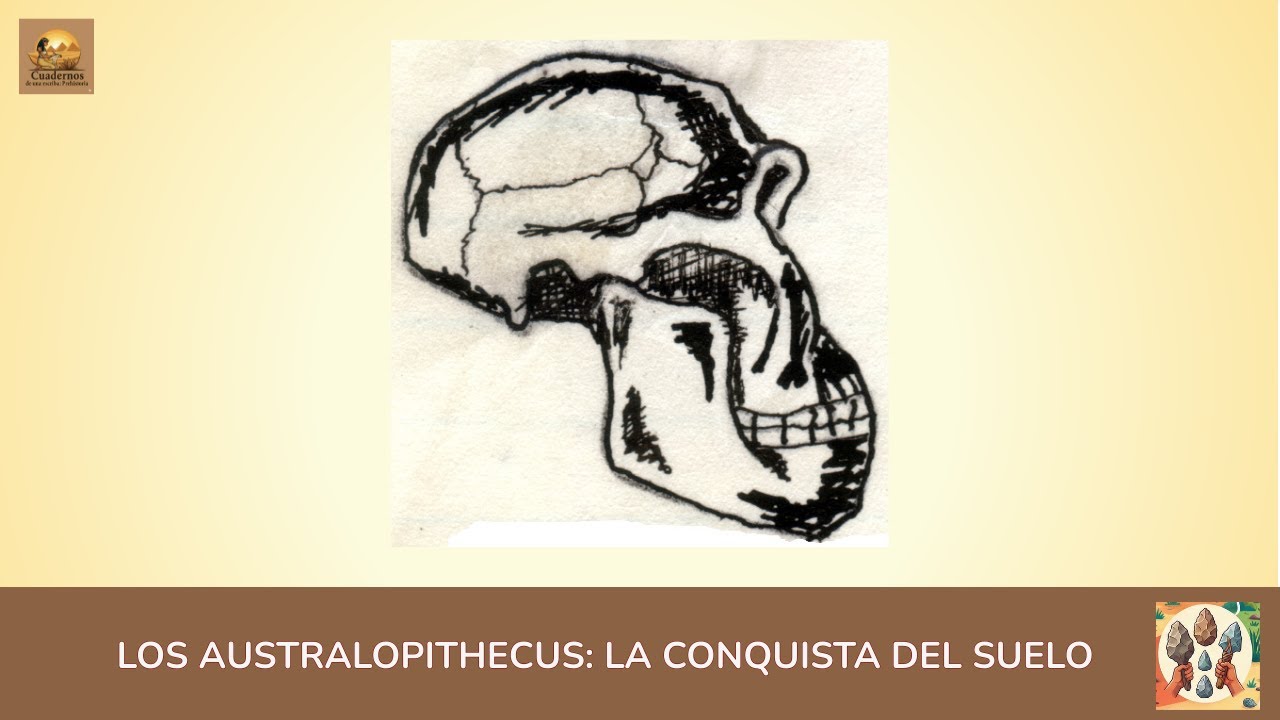 AUSTRALOPITHECUS: LA CONQUISTA DEL SUELO