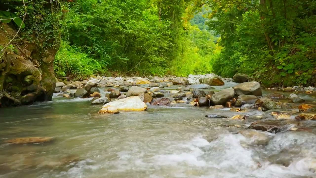 Relaxing Stream Sounds | Nature's Best Sleep Aid
