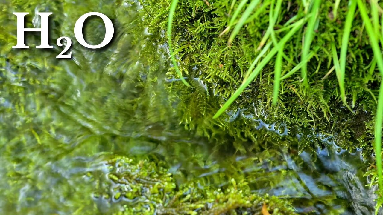 Close-Up Water Sounds | 10 Hours of Calm & Focus