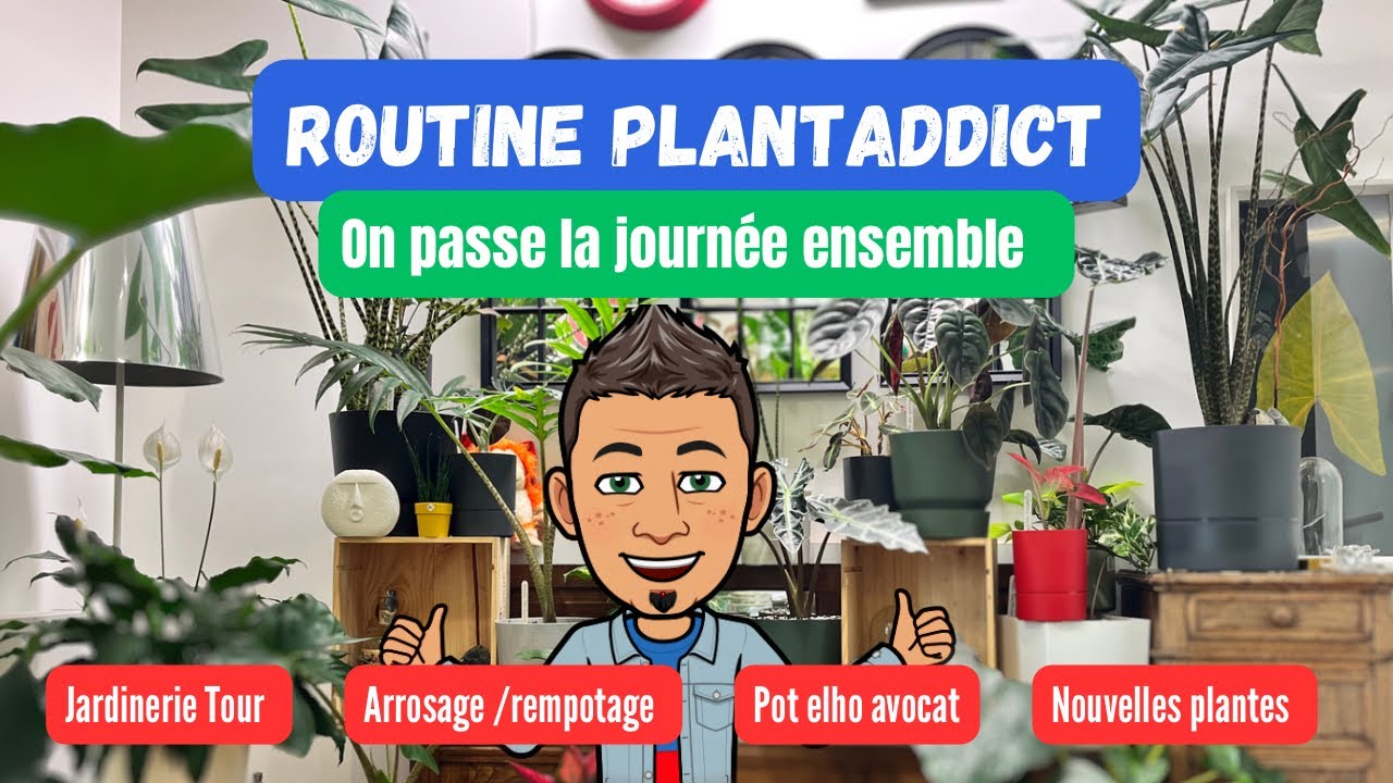#17-On passe la journ&eacute;e Ensemble [ routine entretien-Arrosage-Avocat&hellip; ] #plantaddict @weareelho