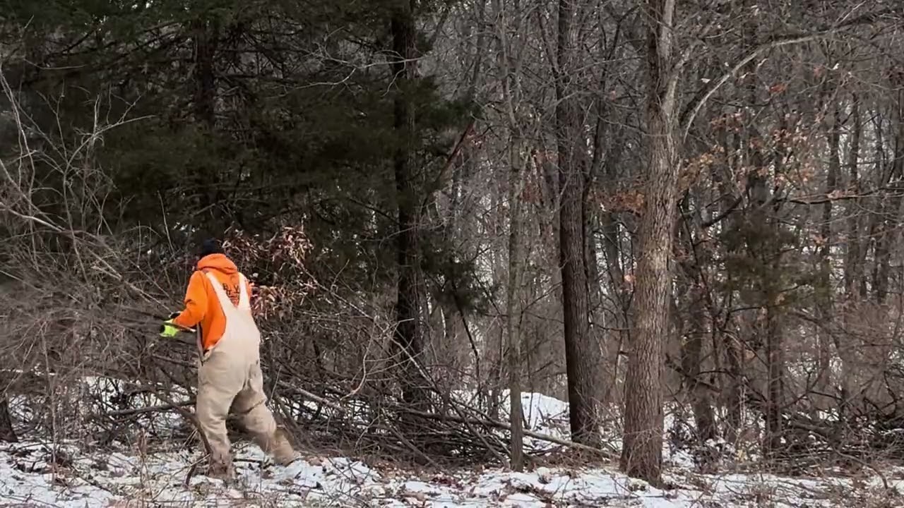 Clearing brush and side work