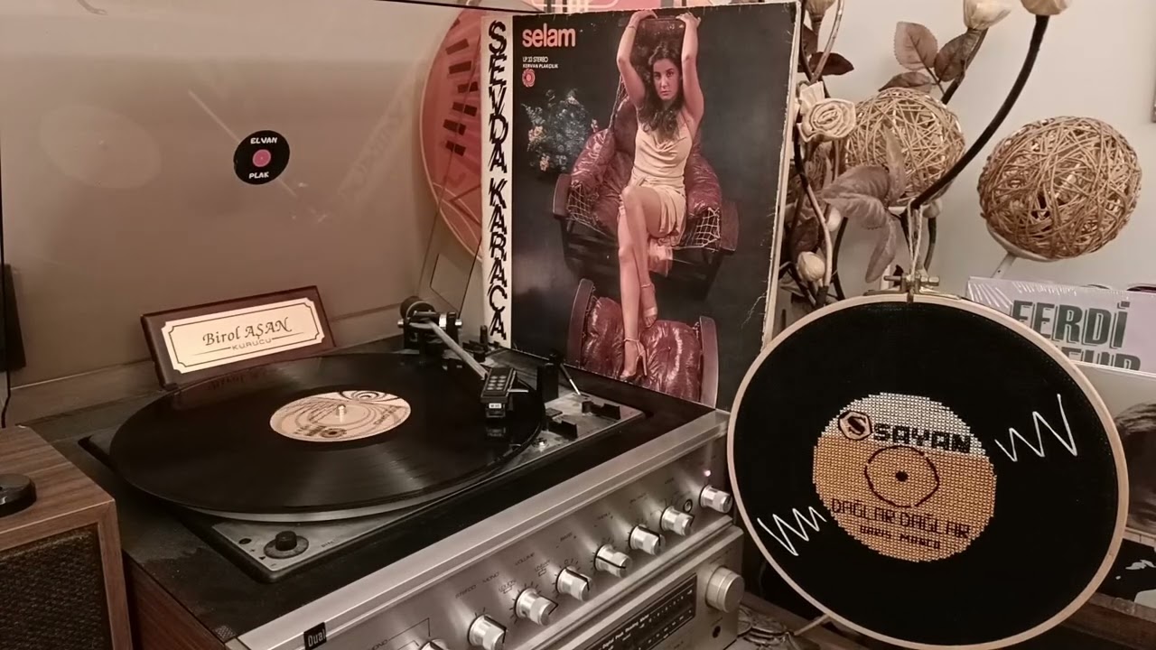 SEVDA KARACA -AYRILAN YOLLAR