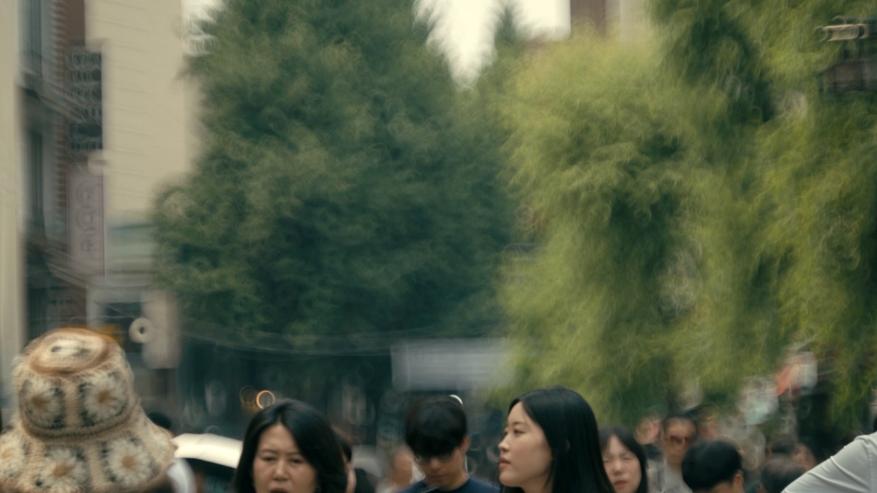 평범함이 싫다면 도넛 보케! TTArtisan 250mm f5.6 Reflex