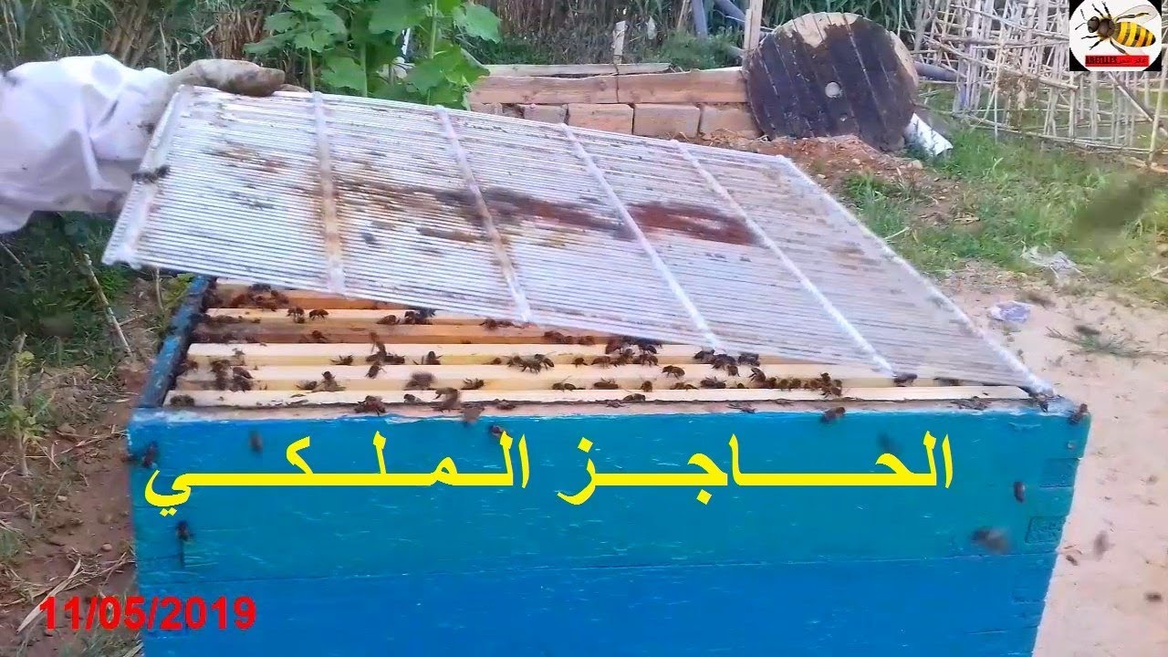 وضـــع الحـــاجز الملكـــي و تــركيب العــــاسلة الثـــانية