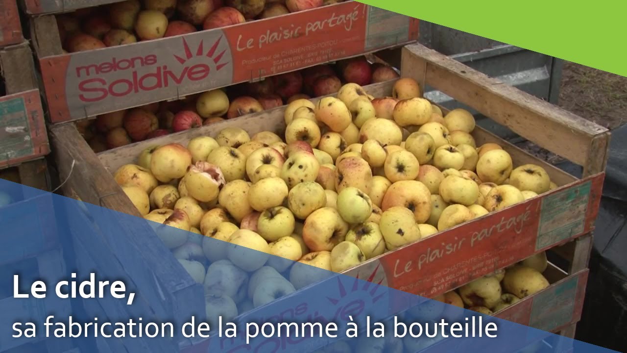 Le cidre, sa fabrication de la pomme à la bouteille.