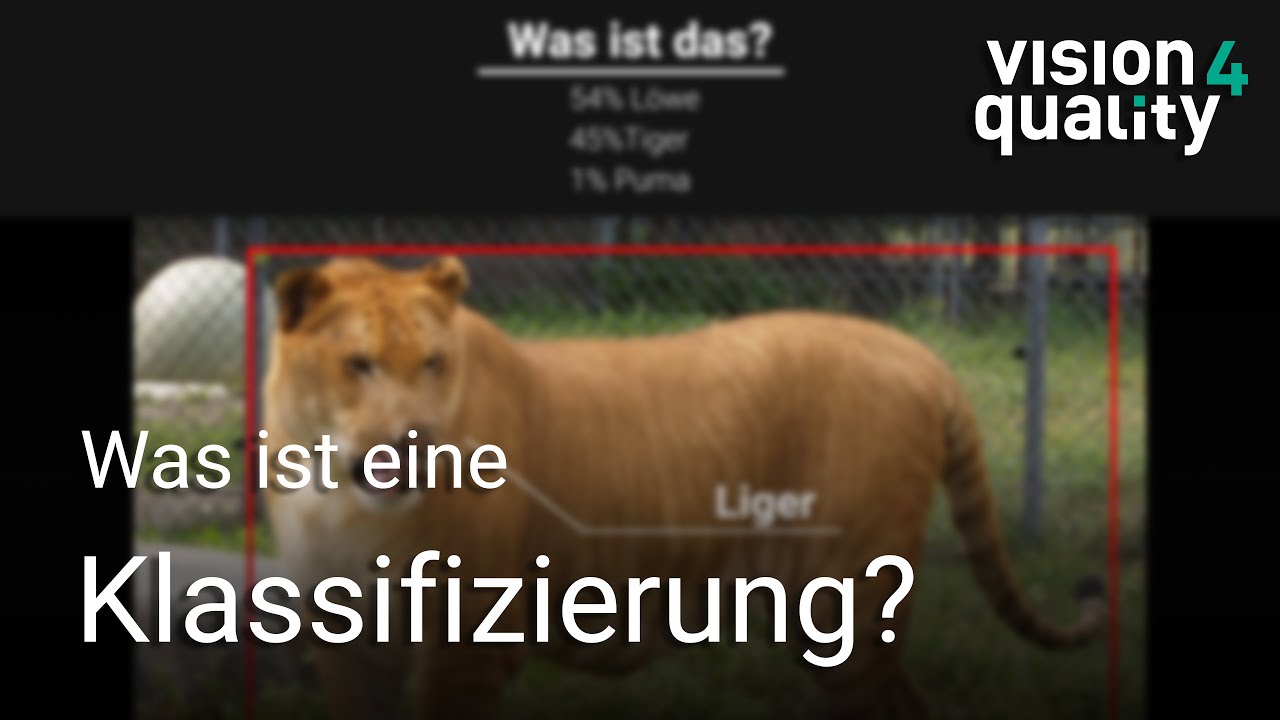 KI: Was ist eine Klassifizierung?